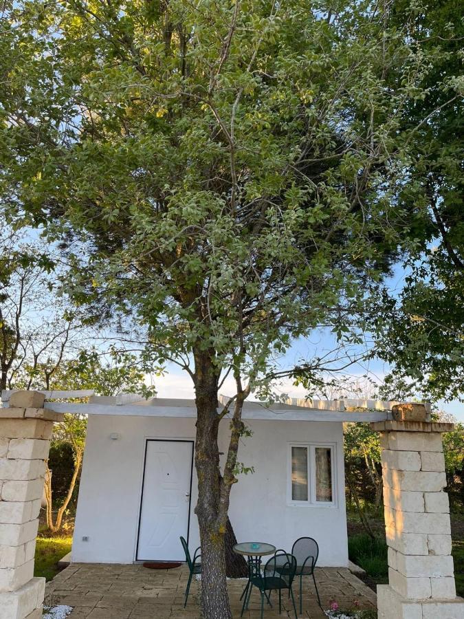 Agriturismo Tenuta La Monaca Aradeo 外观 照片