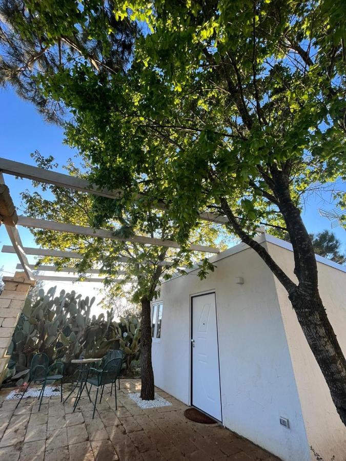 Agriturismo Tenuta La Monaca Aradeo 外观 照片
