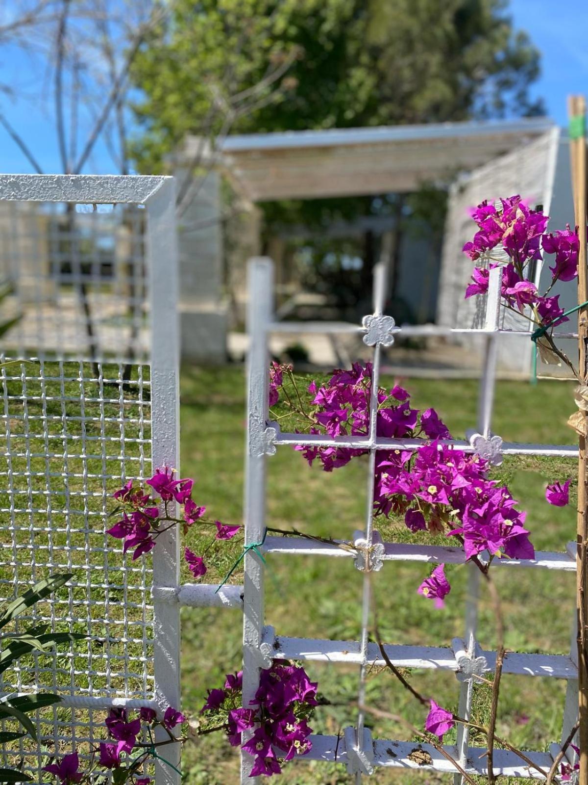 Agriturismo Tenuta La Monaca Aradeo 外观 照片